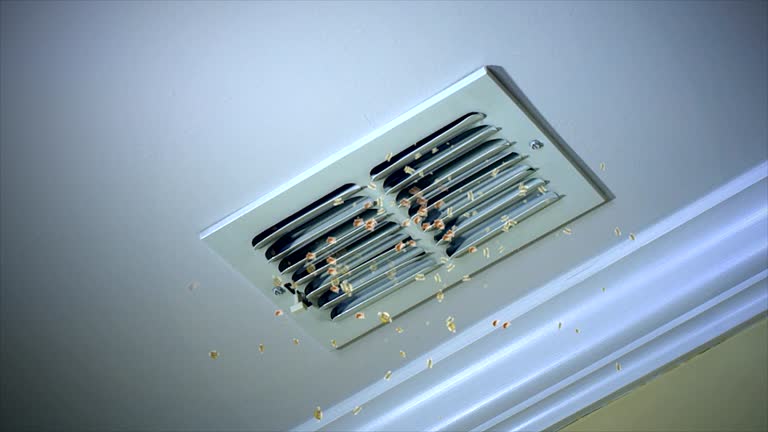 Best Emergency Air Duct Cleaning  in Bass Lake, IN